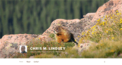 Desktop Screenshot of chrismlindsey.com